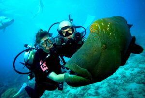 Buceador explorando el fondo del océano en una expedición de buceo (Este es el más importante para Google).