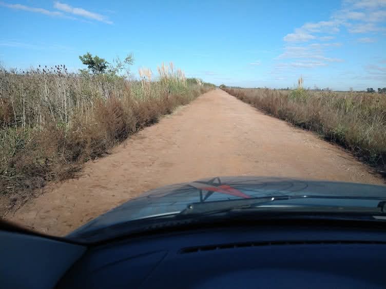 Caravana de camionetas 4x4 avanzando por un camino rural de tierra en la provincia de Buenos Aires durante una travesía.