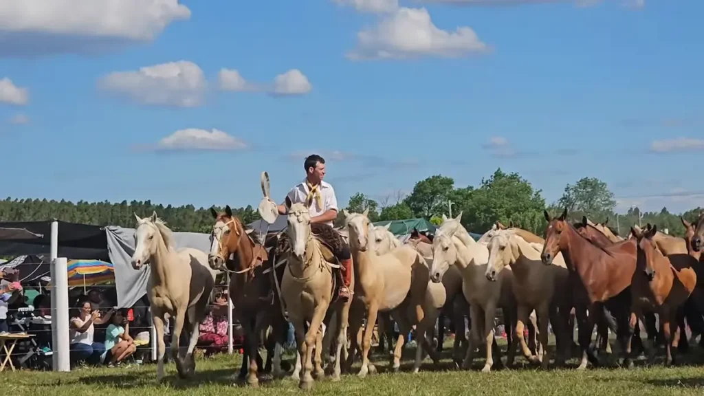 Ariel posando junto a su tropilla entablada de caballos bayos en el campo de Entre Ríos.