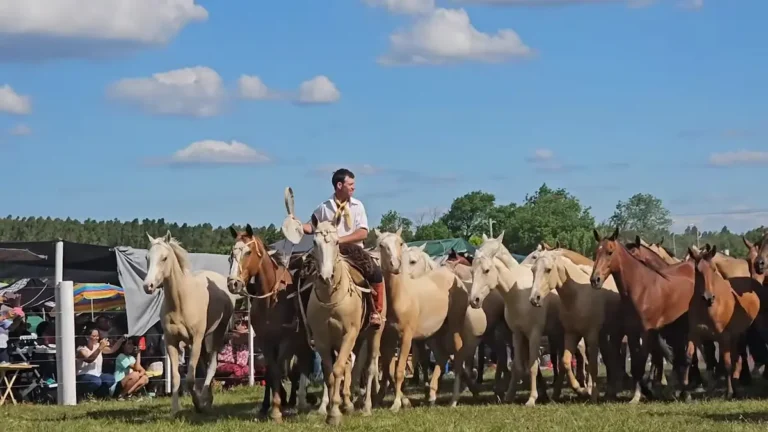 Ariel posando junto a su tropilla entablada de caballos bayos en el campo de Entre Ríos.