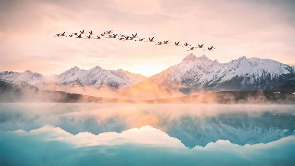 Una bandada de flamencos rosados en pleno vuelo formando una línea en el cielo, sobre una laguna patagónica de aguas calmas que refleja la imponente cordillera nevada al atardecer.