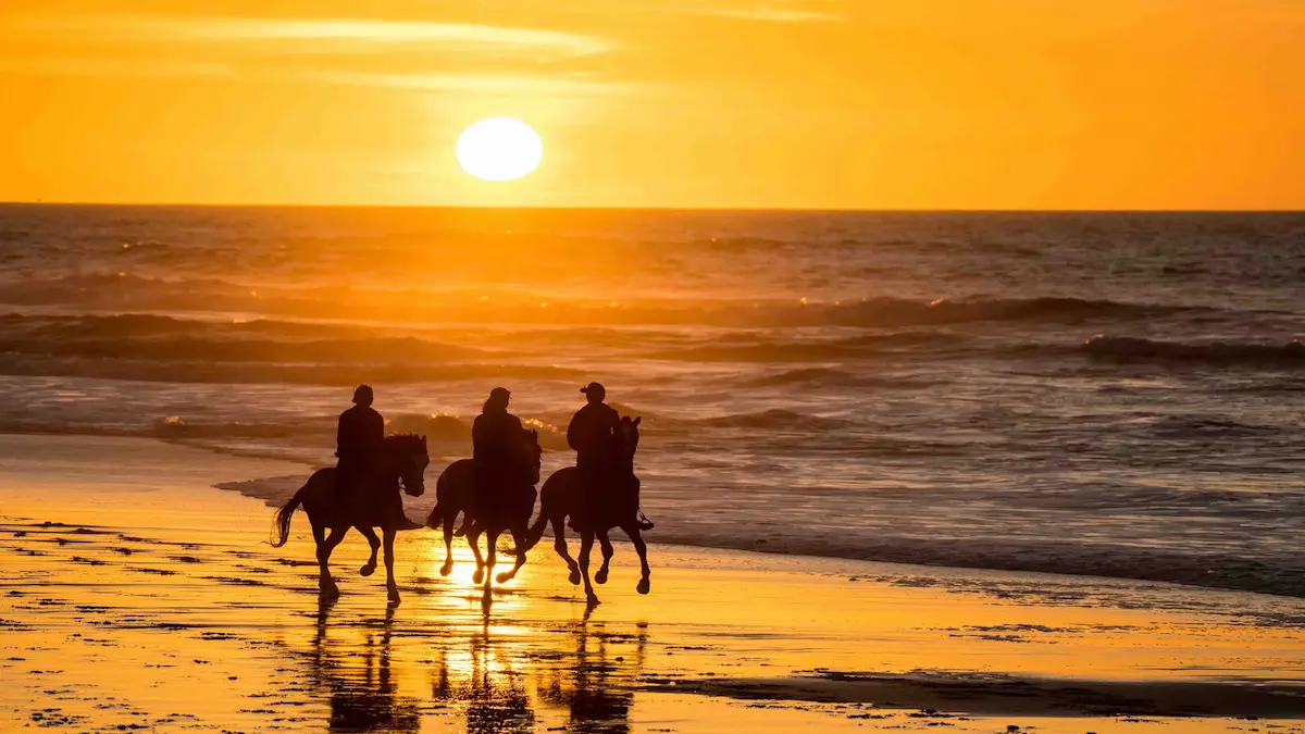 Tres jinetes a caballo galopando por la orilla del mar al atardecer en Necochea