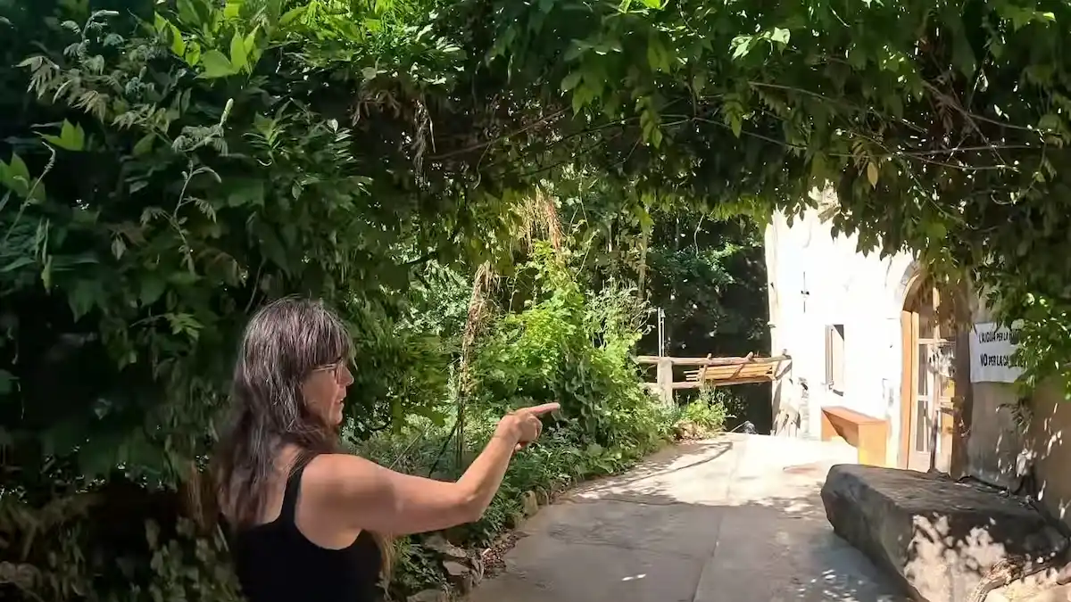 Camino de acceso a la masía principal y casa común de la finca ecológica