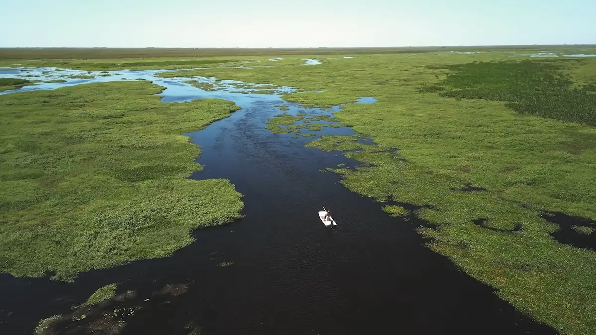 Embarcación con turistas navegando por los canales de agua de los Esteros del Iberá rodeados de vegetación flotante.