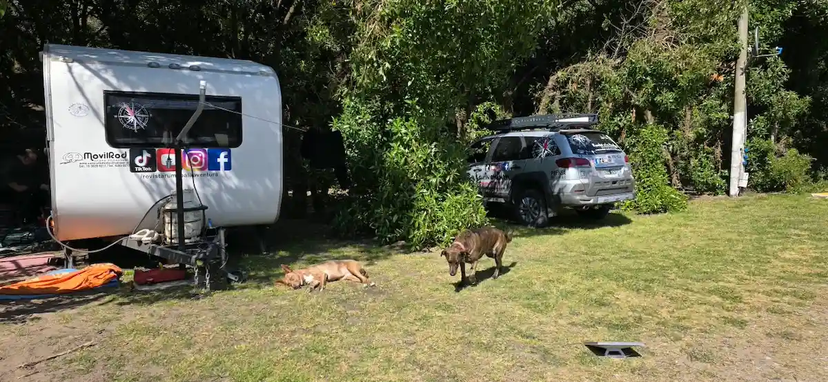 Sector de acampe con casa rodante, camioneta y perras descansando en el Complejo Camping Miguel Lillo de Necochea