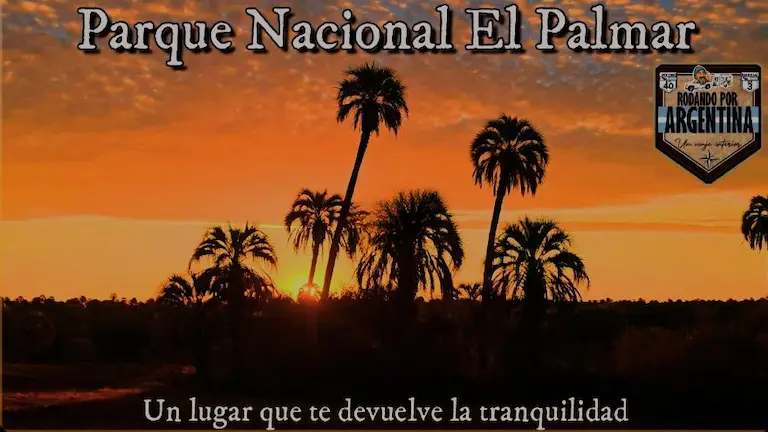 Silueta de palmeras Yatay recortadas contra un cielo anaranjado al atardecer en el Parque Nacional El Palmar, Entre Ríos.