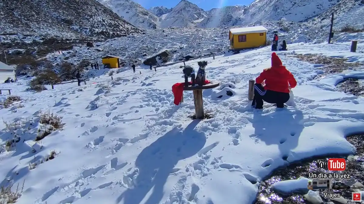 Las mascotas viajeras Lola y Tommy posan juntas sobre la nieve frente al paisaje cordillerano de Vallecitos, Mendoza.