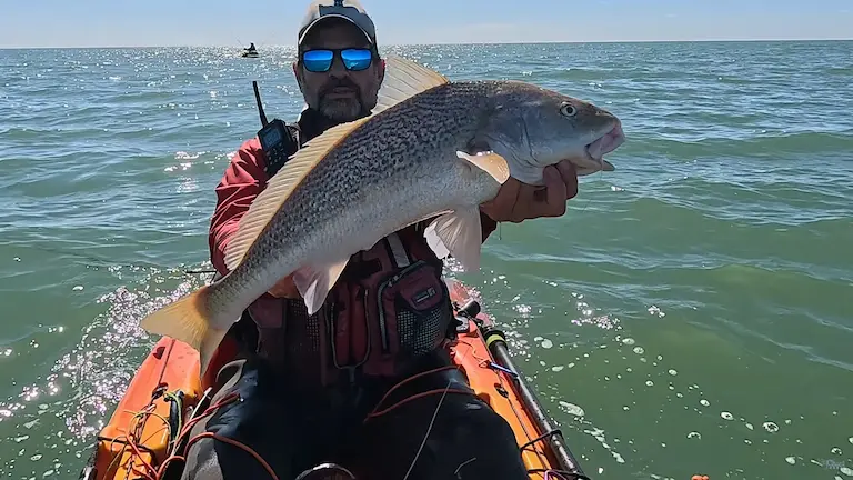 Rodrigo Cobas sosteniendo una corvina rubia de gran porte a bordo de su kayak en aguas de Santa Teresita.