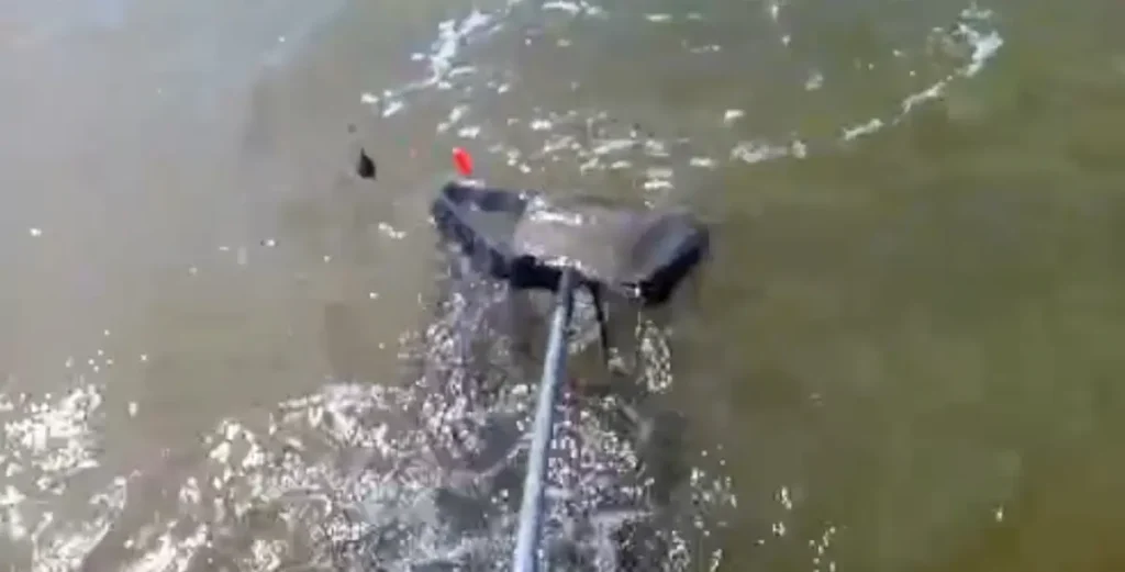 Copo de pesca sumergido en el agua asegurando una captura durante una jornada embarcada.