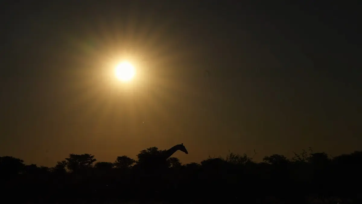 Silueta de una jirafa al atardecer en el Parque Nacional Etosha, Namibia.