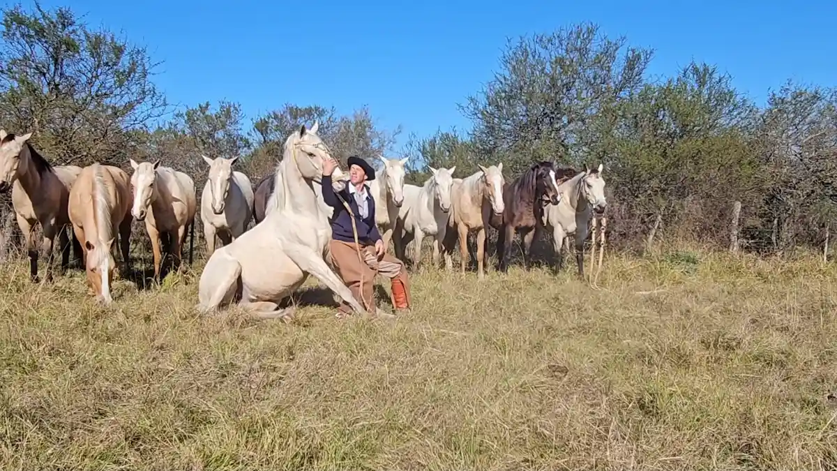 Ariel demostrando la confianza de su caballo sentado en el suelo frente a toda su tropilla entablada en Entre Ríos.